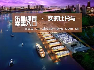 案例展示八