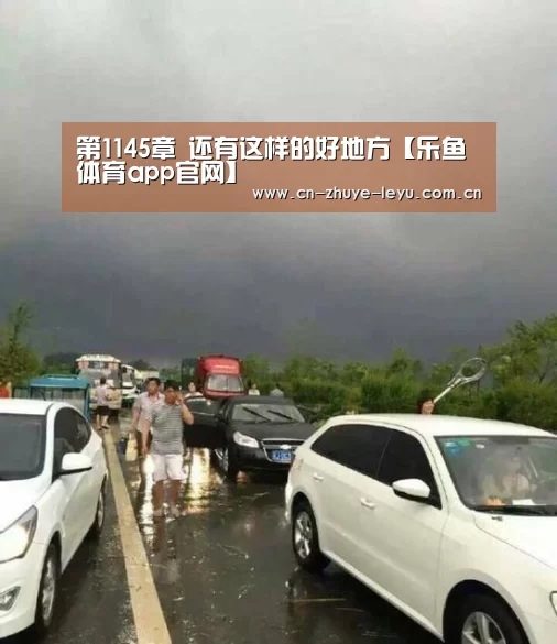 乐鱼体育app官网