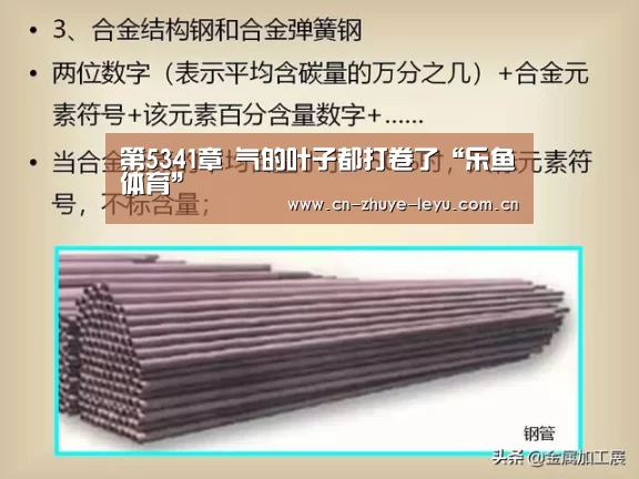 第5341章 气的叶子都打卷了“乐鱼体育”(图2) 第5341章 气的叶子都打卷了“乐鱼体育”(图2)