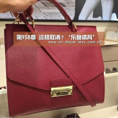 乐鱼