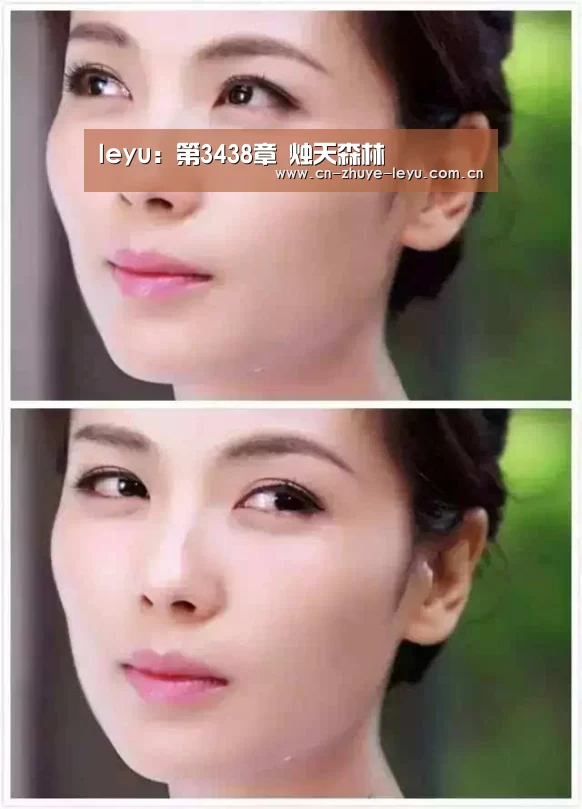 leyu：第3438章 烛天森林(图2)
