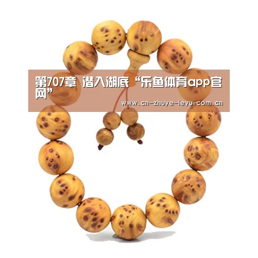 乐鱼体育app官网