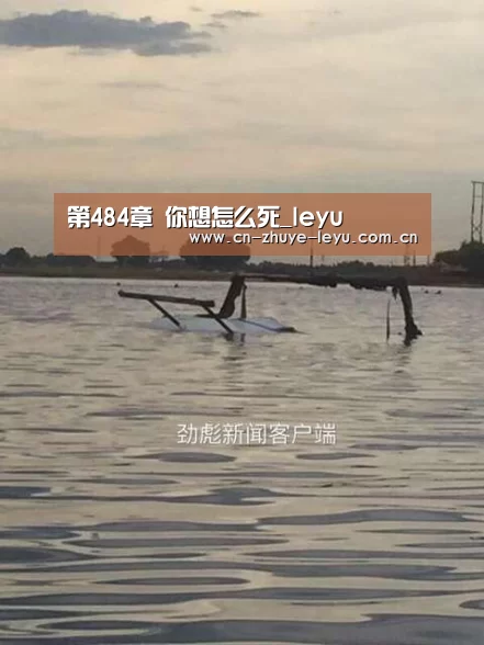 第484章 你想怎么死_leyu(图1)