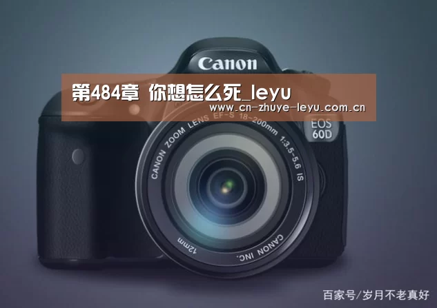 乐鱼