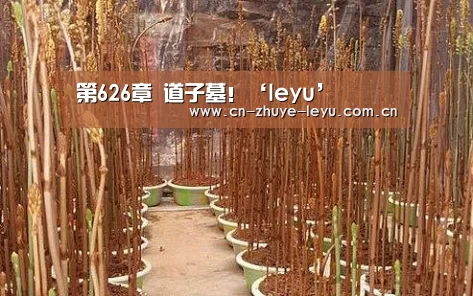 第626章 道子墓!‘leyu’(图3) 第626章 道子墓!‘leyu’(图3)