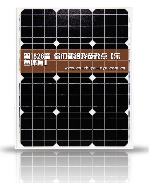 第1828章 你们都给我恭敬点【乐鱼体育】(图2) 乐鱼体育app官网